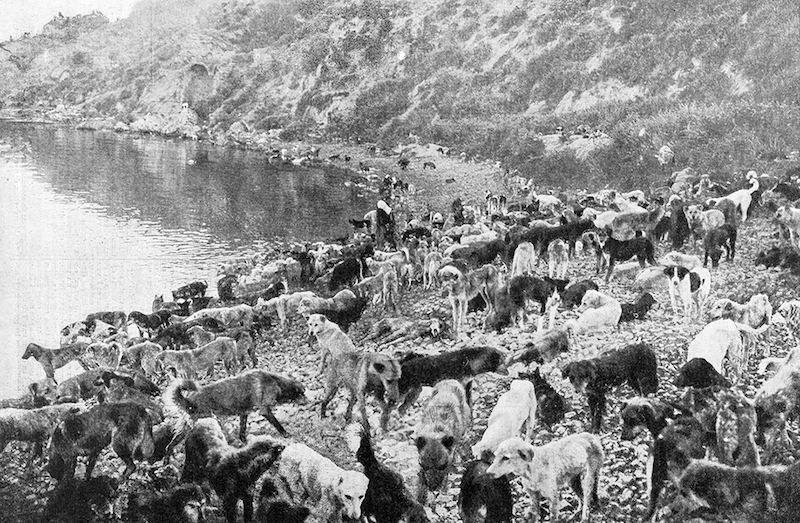 Jean Weinberg, Pierre de Gigord Koleksiyonu